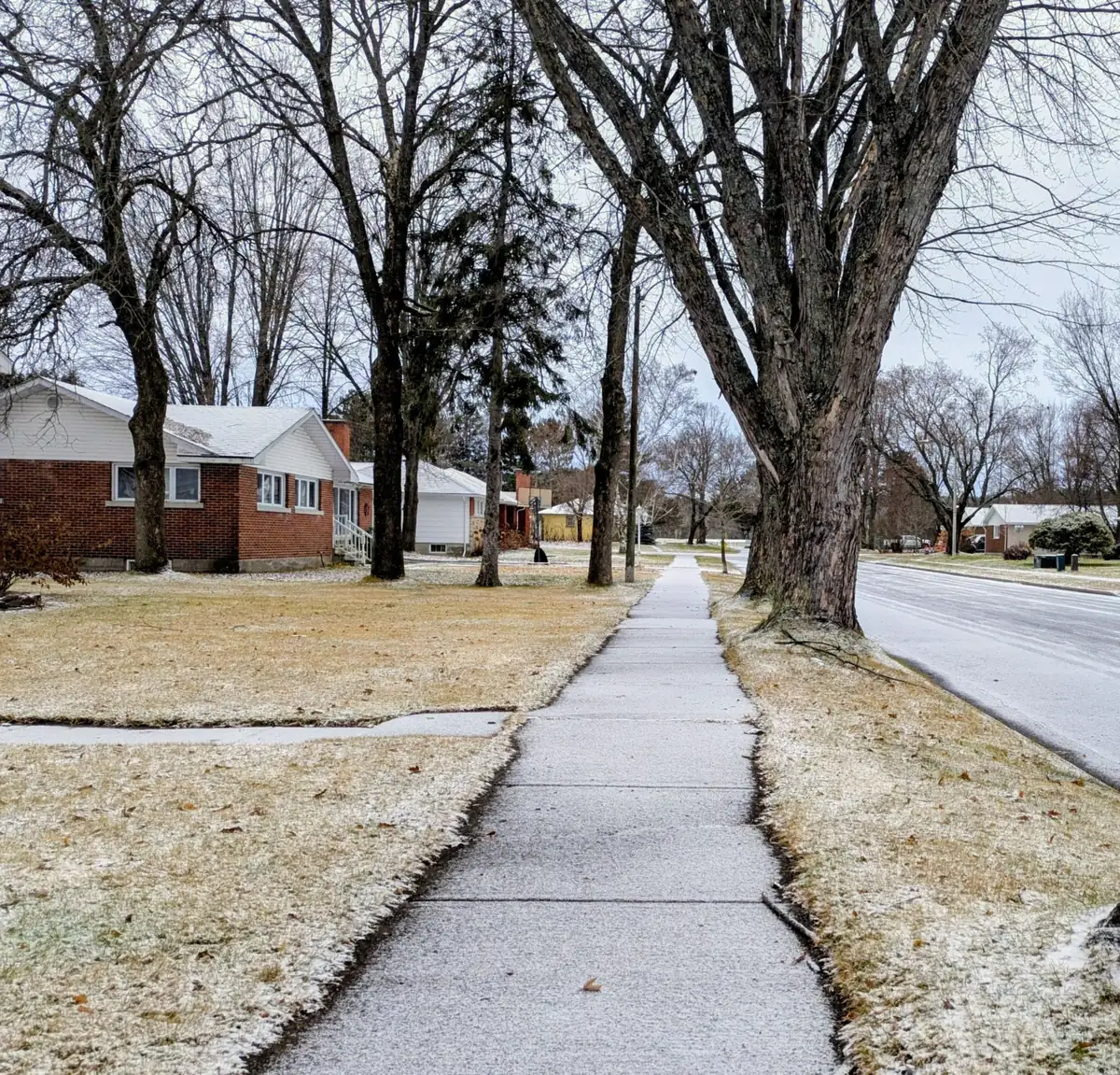 Residential concrete sidewalk under fresh snow between bare trees and brick ranch houses