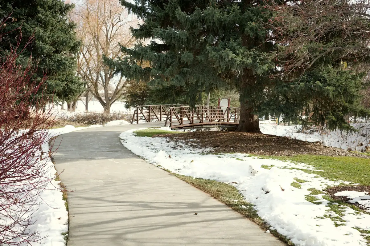 Curving broom-finished concrete walkway with melting snow on the lawns on either side